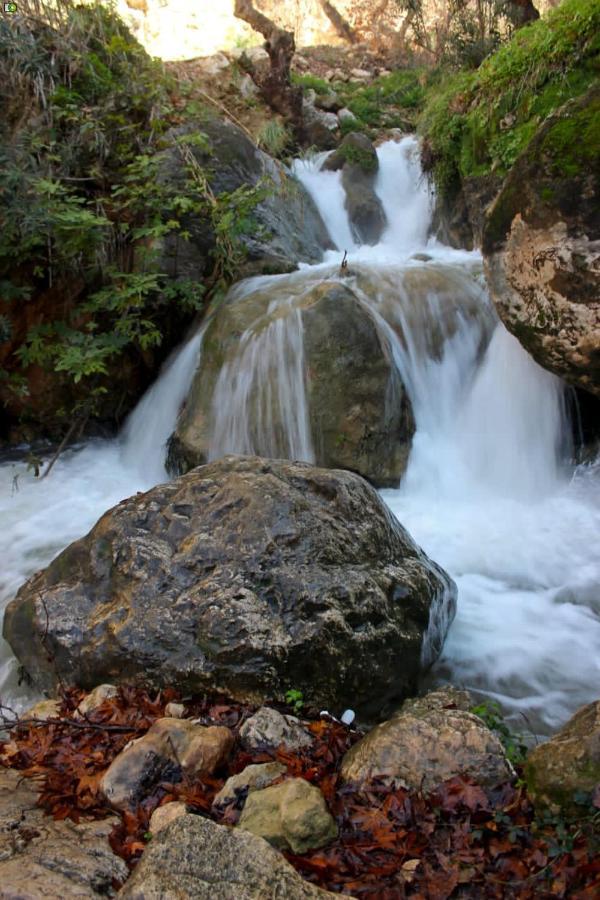 مزرعة سيلا خاصة للعائلات Ajloun